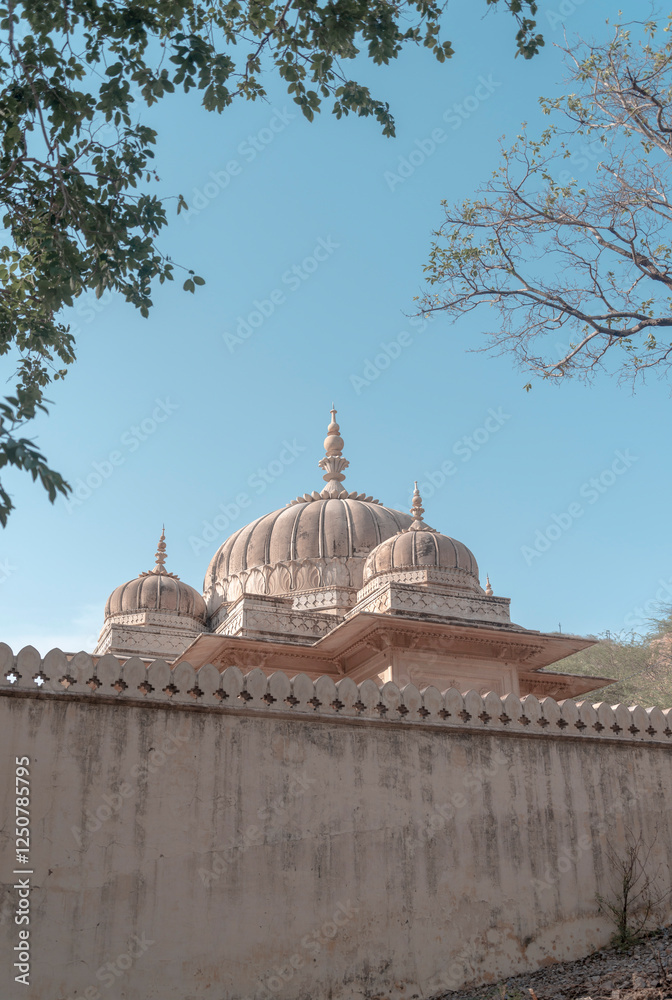 Obraz premium Architecture of Rajasthan