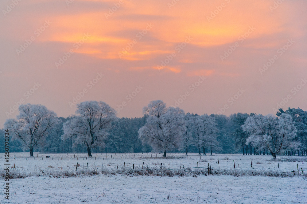 Piękno śnieznej i mroznej zimy w Dolinie Narwi i Biebrzy - Podlasie, Polska