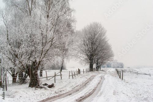 Piękno śnieznej i mroznej zimy w Dolinie  Narwi i Biebrzy - Podlasie, Polska photo