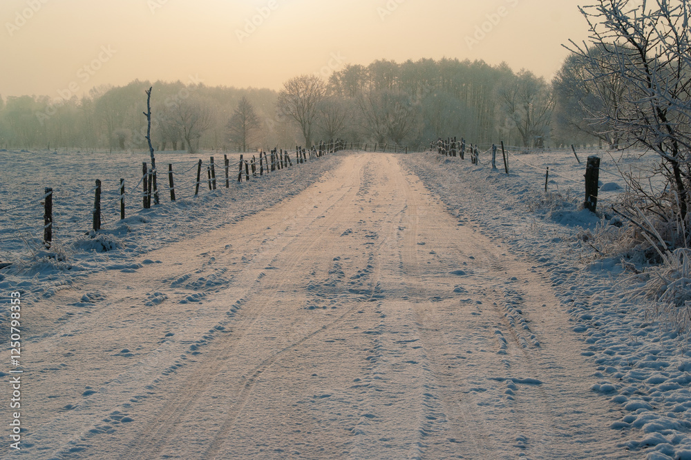 Piękno śnieznej i mroznej zimy w Dolinie Narwi i Biebrzy - Podlasie, Polska