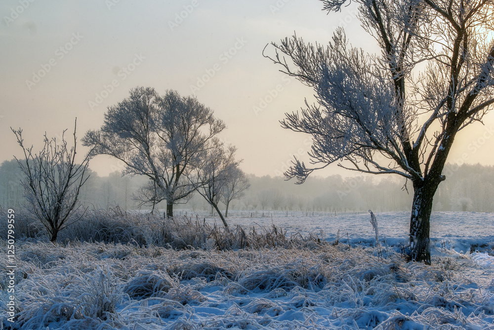 Piękno śnieznej i mroznej zimy w Dolinie Narwi i Biebrzy - Podlasie, Polska