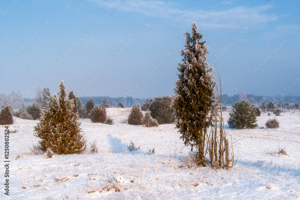 Piękno śnieznej i mroznej zimy w Dolinie Narwi i Biebrzy - Podlasie, Polska