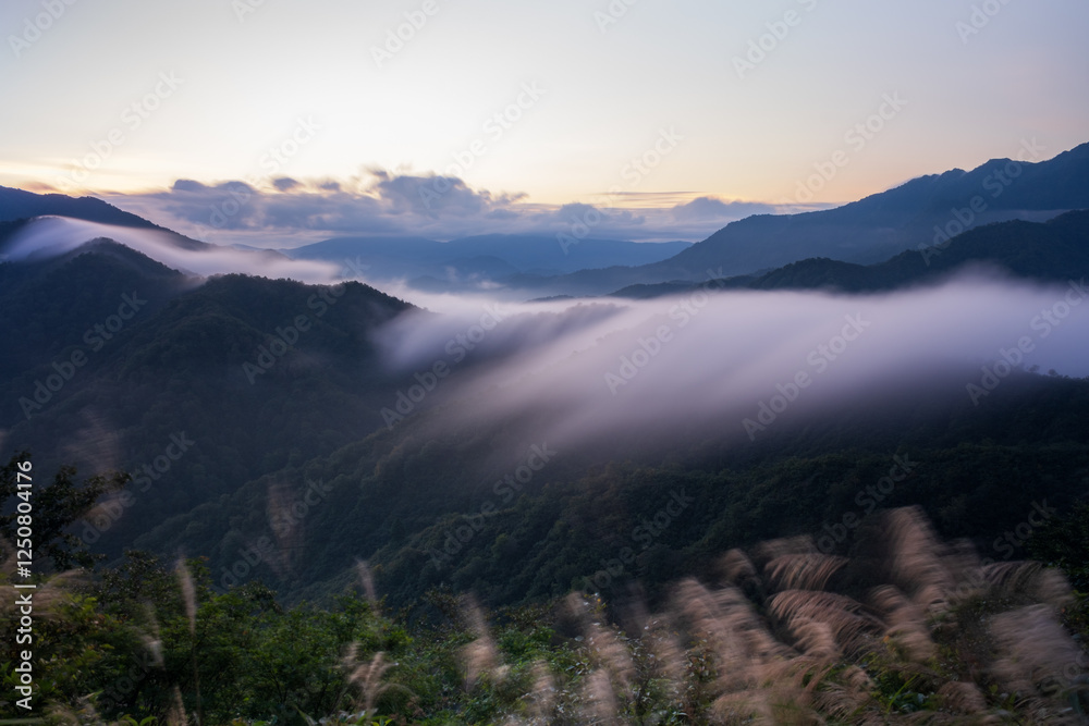 Fototapeta premium 秋の風景