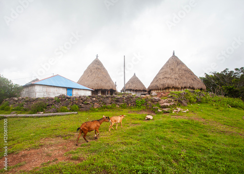 Traditional houses in one of the villages in Aileu Municipality in Timor Leste. Still actively inhabited by local residents and an attraction of the tourist village.