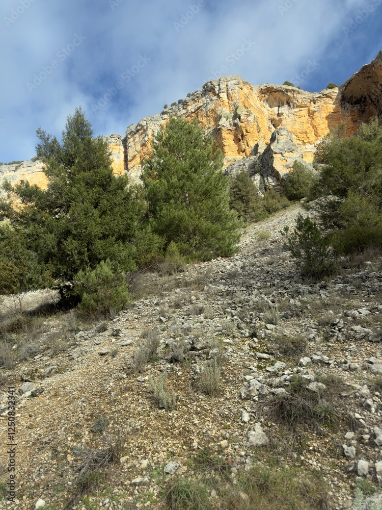 Obraz premium Rio Lobos Canyon (Soria, Spain)