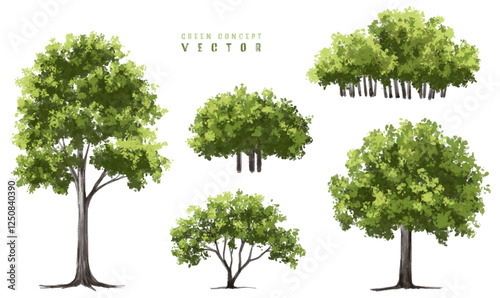  Vector watercolor green  tree or forest side view isolated on white background for landscape and architecture drawing,elements for environment or and garden,Shrub for section