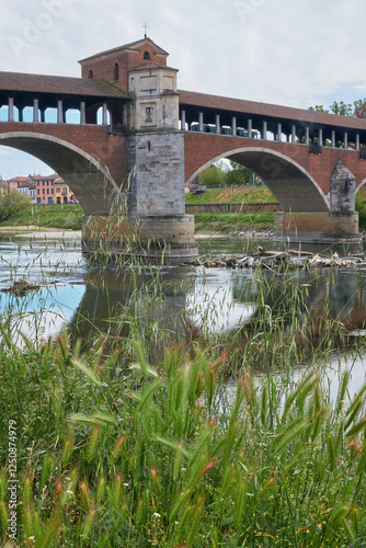 Wonderful view in the Pavia Center