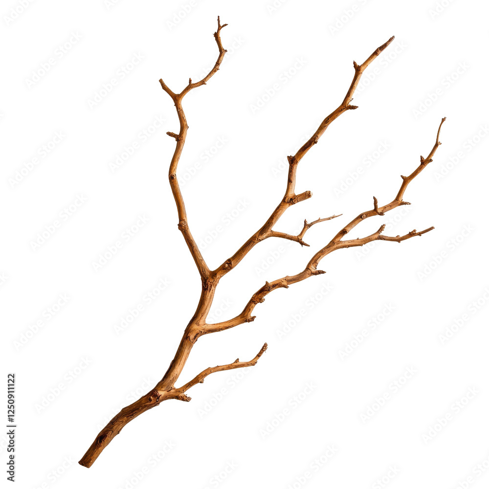Fototapeta premium natural branch with multiple twigs, showcasing rustic appearance and earthy tones, perfect for decorative purposes or crafting