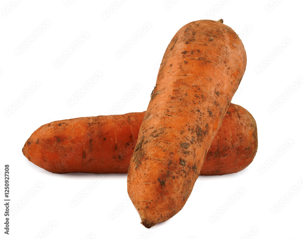 Dirty, unwashed carrot with traces of soil on the surface. Carrot isolated on white background. Two carrots crossed on white background. Dirty, unwashed carrot with traces of soil on the surface. Carrot isolated on white background. Two carrots crossed on white background.
