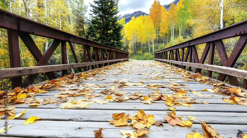 Walk on wood bridge covered with fall leaves. Aspens and evergreen background in Colorado mountains. Nature escape