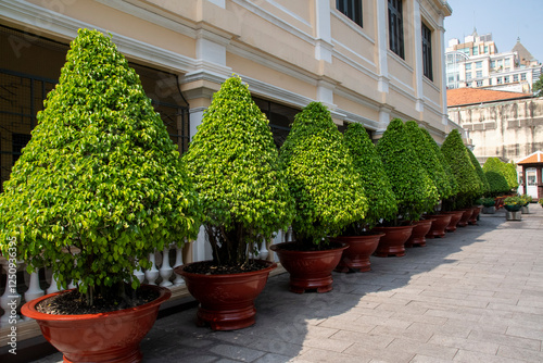 visiting Vietnam photo