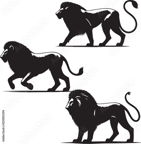 set of Asiatic Lion walking poses,Asiatic lion walking poses silhouette, lion in motion vector, black and white lion illustration, Asiatic lion stride silhouette set