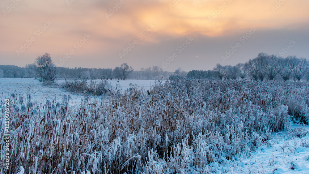 Piękno śnieznej i mroznej zimy w Dolinie Narwi i Biebrzy - Podlasie, Polska