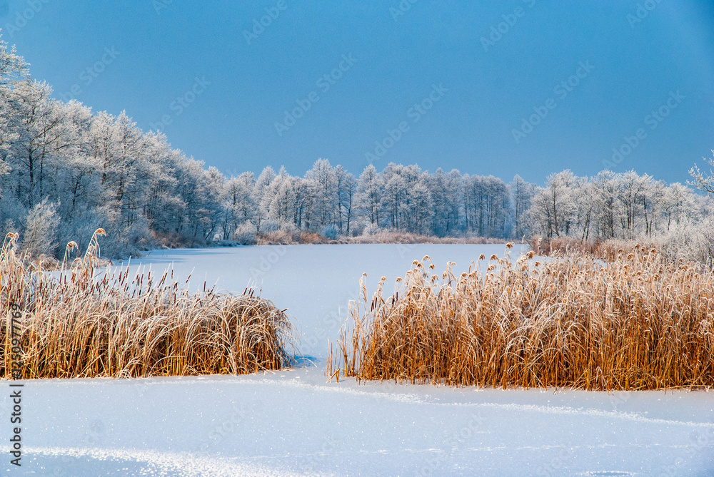 Piękno śnieznej i mroznej zimy w Dolinie Narwi i Biebrzy - Podlasie, Polska