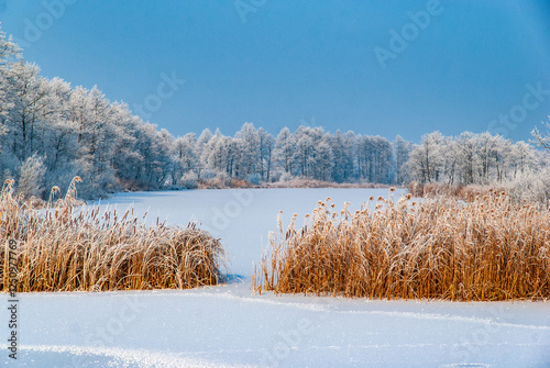  Piękno śnieznej i mroznej zimy w Dolinie Narwi i Biebrzy - Podlasie, Polska