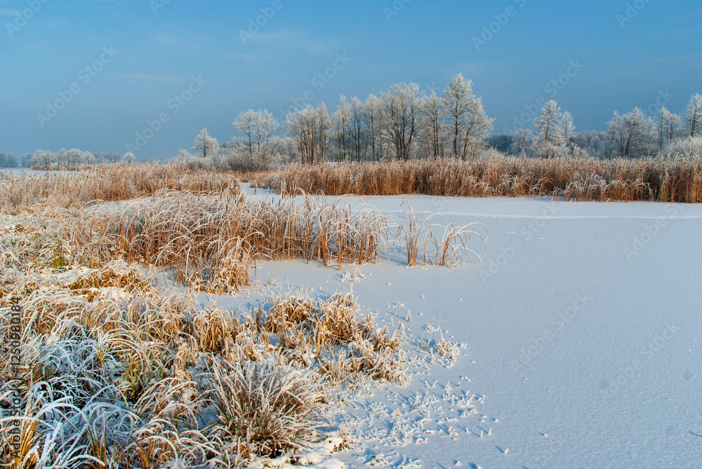 Piękno śnieznej i mroznej zimy w Dolinie Narwi i Biebrzy - Podlasie, Polska