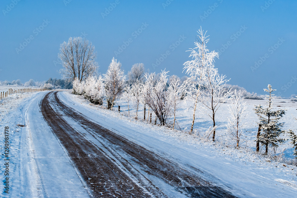 Piękno śnieznej i mroznej zimy w Dolinie Narwi i Biebrzy - Podlasie, Polska