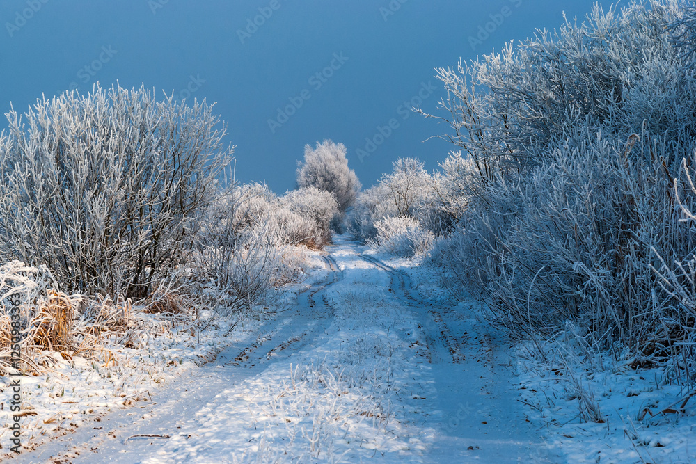 Piękno śnieznej i mroznej zimy w Dolinie Narwi i Biebrzy - Podlasie, Polska