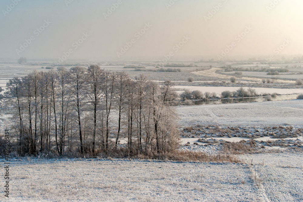 Piękno śnieznej i mroznej zimy w Dolinie Narwi i Biebrzy - Podlasie, Polska