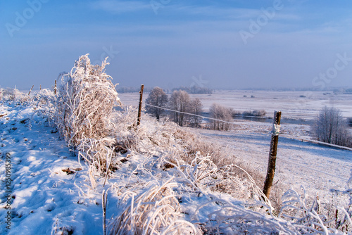  Piękno śnieznej i mroznej zimy w Dolinie Narwi i Biebrzy - Podlasie, Polska