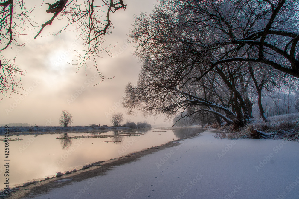 Piękno śnieznej i mroznej zimy w Dolinie Narwi i Biebrzy - Podlasie, Polska