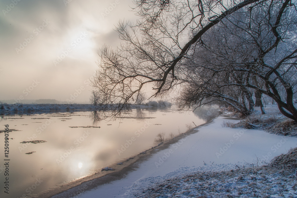 Piękno śnieznej i mroznej zimy w Dolinie Narwi i Biebrzy - Podlasie, Polska