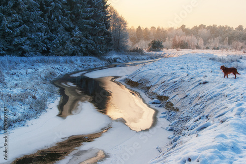  Piękno śnieznej i mroznej zimy w Dolinie Narwi i Biebrzy - Podlasie, Polska