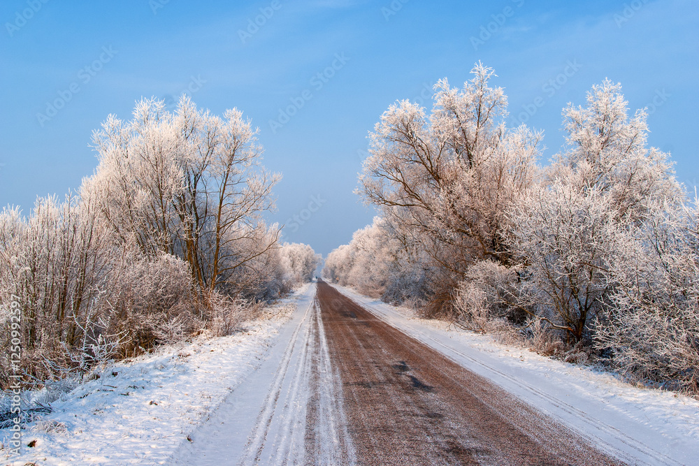 Piękno śnieznej i mroznej zimy w Dolinie Narwi i Biebrzy - Podlasie, Polska