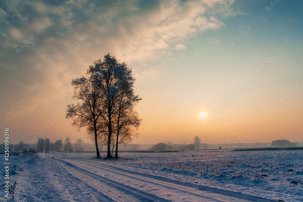 Piękno śnieznej i mroznej zimy w Dolinie Narwi i Biebrzy - Podlasie, Polska