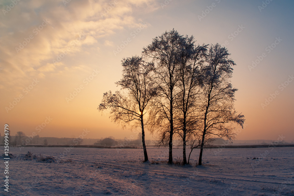 Piękno śnieznej i mroznej zimy w Dolinie Narwi i Biebrzy - Podlasie, Polska