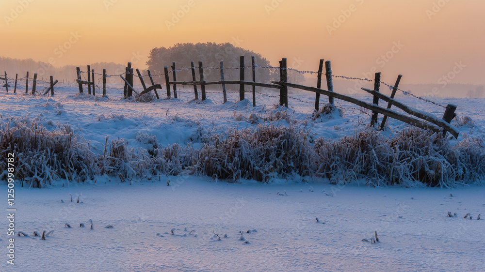 Piękno śnieznej i mroznej zimy w Dolinie Narwi i Biebrzy - Podlasie, Polska