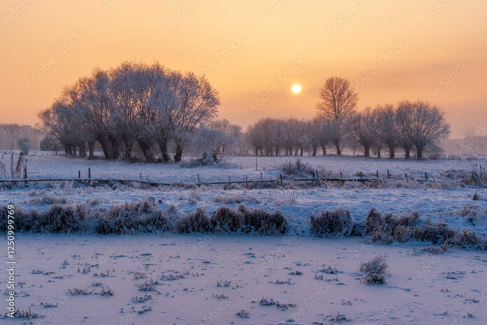 Piękno śnieznej i mroznej zimy w Dolinie Narwi i Biebrzy - Podlasie, Polska