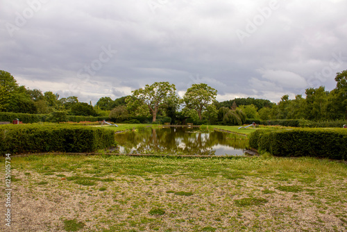 Forest Ecosystems, The Balance of Flora and Fauna. photo