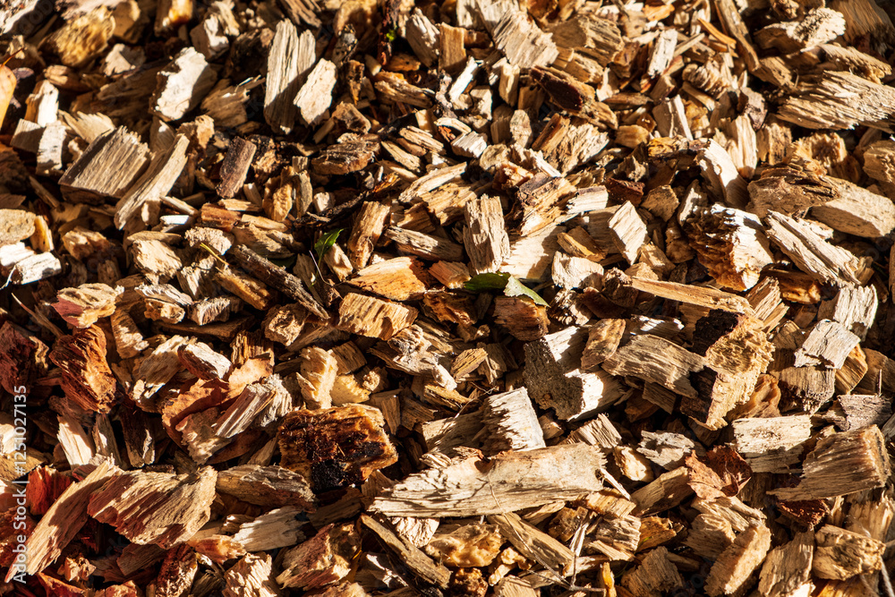 Vibrant Wood Chips Blanket the Ground in a Flourishing Organic Garden, Enhancing Soil Health and Promoting Sustainable Practices Throughout the Growing Season Vibrant Wood Chips Blanket the Ground in a Flourishing Organic Garden, Enhancing Soil Health and Promoting Sustainable Practices Throughout the Growing Season