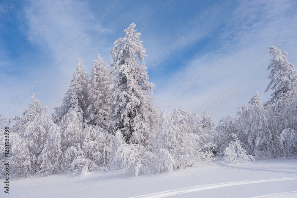 Winter snow-covered trees in the Ural mountains Winter snow-covered trees in the Ural mountains