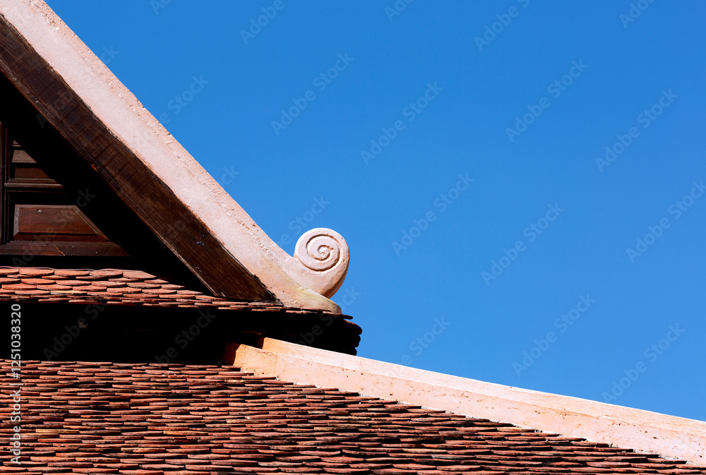 Fototapeta premium detalle circular