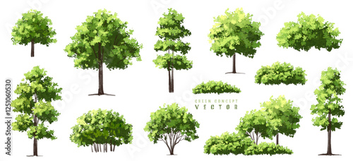  Vector watercolor green  tree or forest side view isolated on white background for landscape and architecture drawing,elements for environment or and garden,Shrub for section