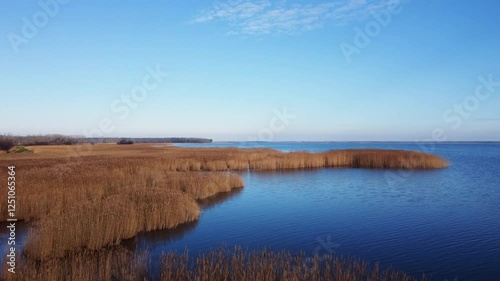 drone shot with a view on reeds on the lake