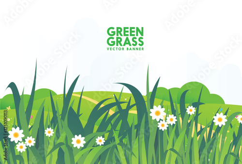 spring meadow with flowers