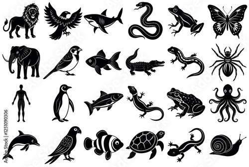 The Diversity of the Animal Kingdom like Mammals, Birds, Reptiles, Amphibians, Fish, Invertebrates, A Glimpse into Nature's Wonders