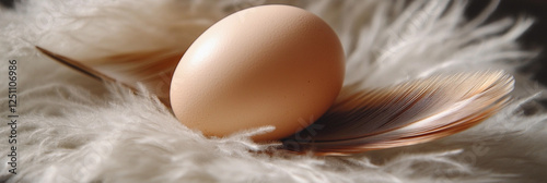 Light brown egg resting on soft feathers