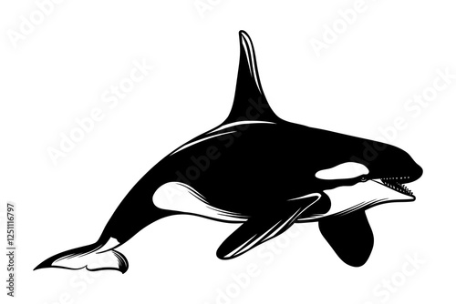 illustration of an orca whale in black and white
