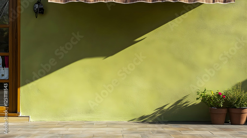 Exterior wall, shadow, patio, plants, sunny day,  ideal backdrop for product placement photo