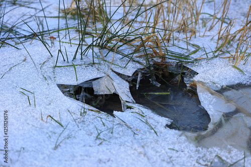 Bei Wasser das gefroren ist wächst Gras nach oben photo