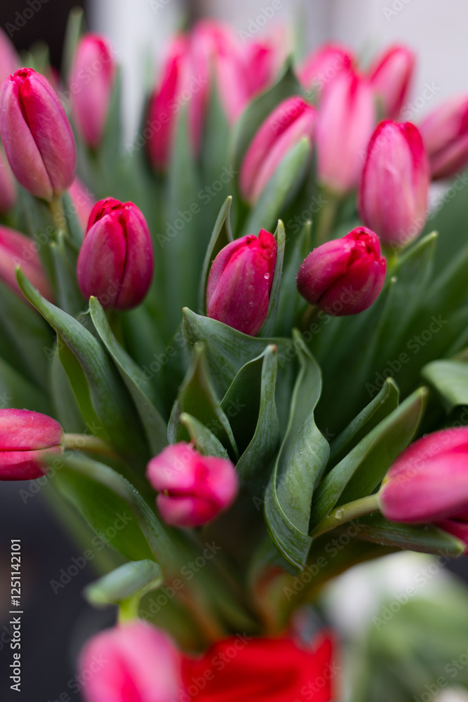 Obraz premium Bouquet of Tulips