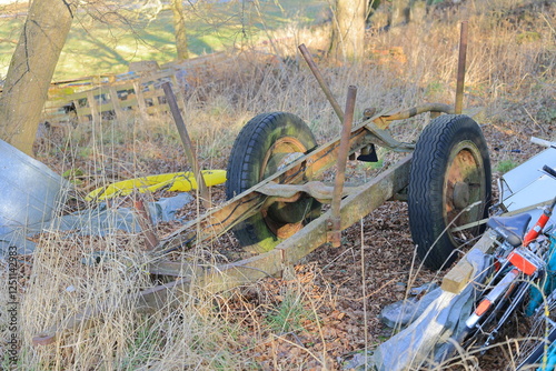 Müll und Unrat wurde in einer Hecke entsorgt photo