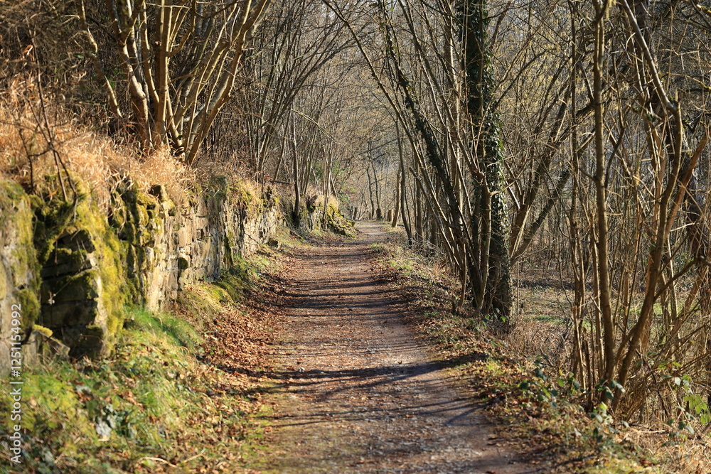 Wanderweg im Kreuzbachtal bei Enzweihingen