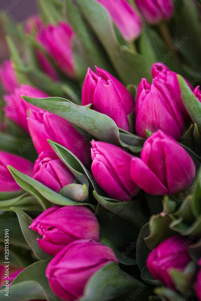 Tulips