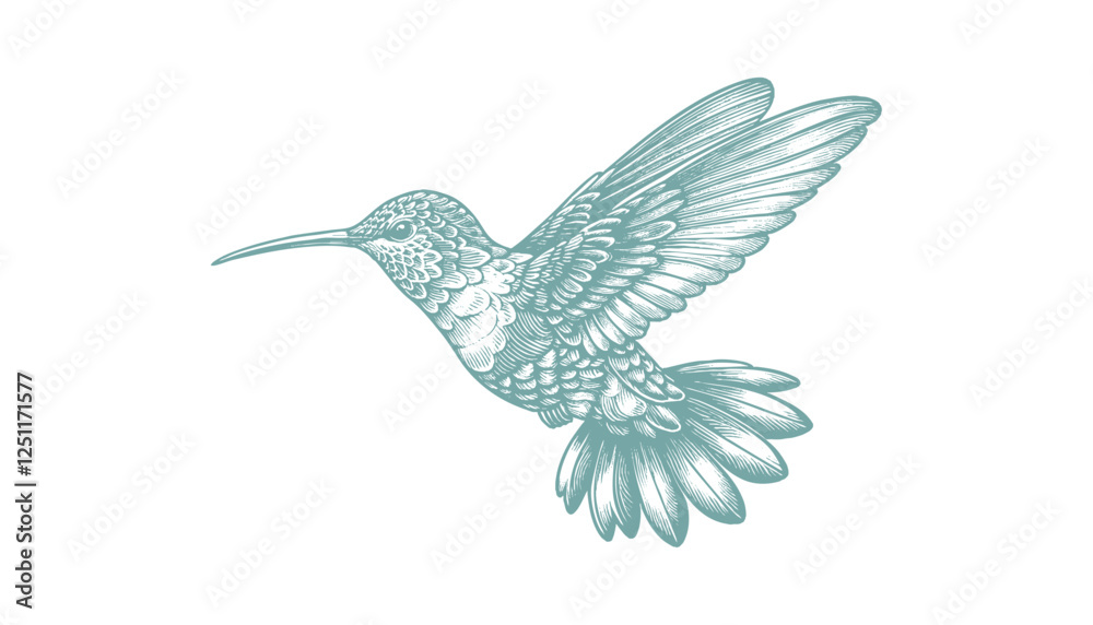 Obraz premium hummingbird vector | bird vector | hummingbird illustration | hummingbird silhouette | hummingbird tattoo | hummingbird engraving | hummingbird drawing