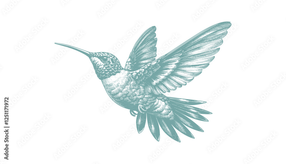 Obraz premium hummingbird vector | bird vector | hummingbird illustration | hummingbird silhouette | hummingbird tattoo | hummingbird engraving | hummingbird drawing